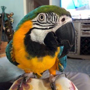 Meet your Posher, Denise